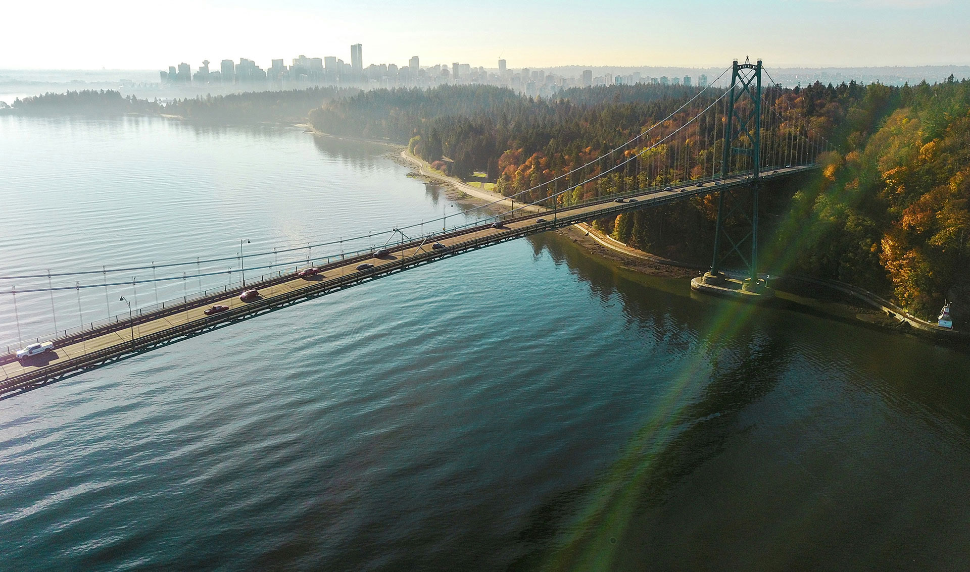 Image Showcase Image