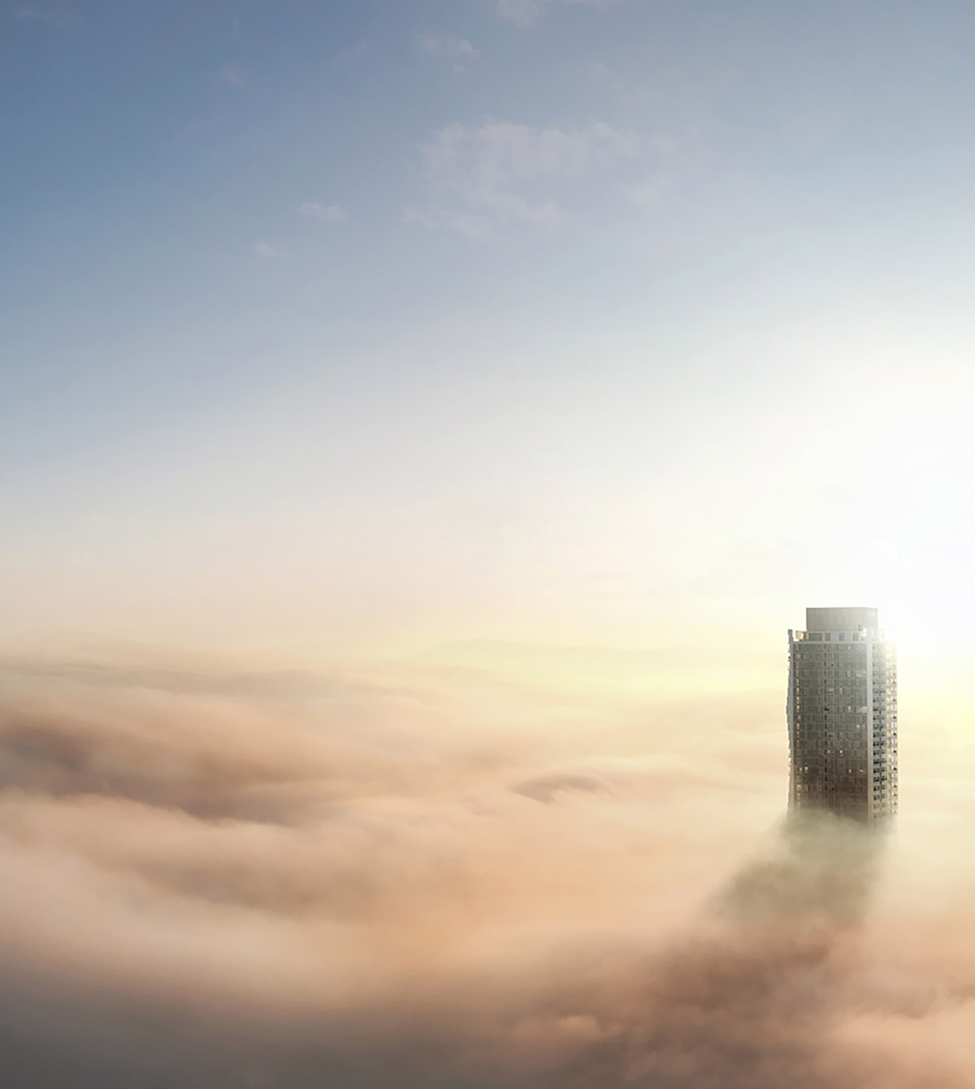 Image Showcase Image