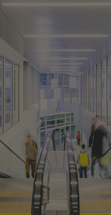 Slide 9 Mobile Image